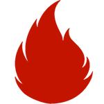 MDL Restoration - photo 1