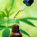 Charleston Healing Center - photo 3