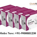 Glutanex - photo 8