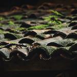 Richmond Roofing - photo 1