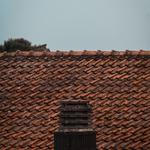 Richmond Roofing - photo 2