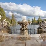 Flightaura - photo 8