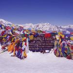 Sherpa Expedition Teams - photo 1