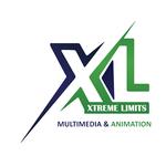 XL MULTIMEDIA AND ANIMATION IN AMRITSAR - photo 6