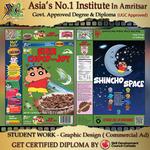 XL MULTIMEDIA AND ANIMATION IN AMRITSAR - photo 10