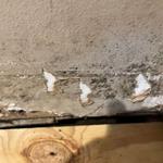 Arkansas Power Dry - photo 3