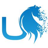  SDET Unicorns - Professional Services in Brampton