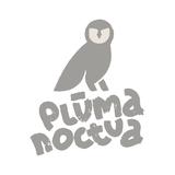 Pluma Noctua profile photo