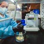 Marco Drugs & Compounding - photo 2