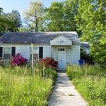 Shreveport House Buyers - photo 1