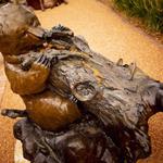 Sage Creek Gallery - photo 3