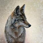 Sage Creek Gallery - photo 4