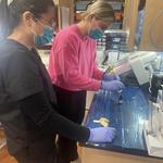 Dental Staff Institute - photo 4