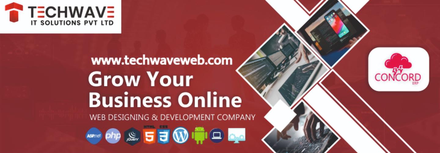 Techwave IT Solutions Pvt Ltd | Web Development Company in Indore cover photo