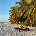 Luxury Shores Vacation Rentals - photo 3