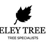 The Berkeley Tree Company - Tree Services