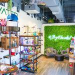 Elevated CBD + Smoke - photo 2