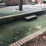 Florida Pro Wash - photo 4