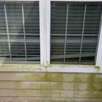 Florida Pro Wash - photo 7