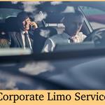 MM Trans CO - photo 4