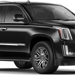 MM Trans CO - photo 8