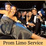 MM Trans CO - photo 9