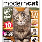 Privy Kitty - photo 5