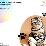 Pepe's Parlour - photo 1