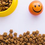 best dry cat food - photo 1