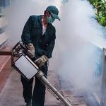 SystemPest - photo 1