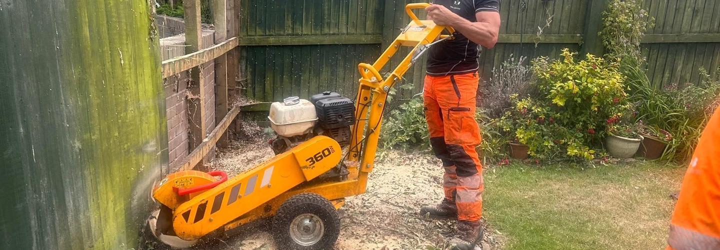 D and B Tree Services cover photo