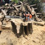 D and B Tree Services - photo 1