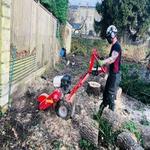 D and B Tree Services - photo 4