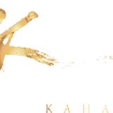 Kahani Restaurant Sloane Square