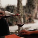 Wineism | Wine Store & Bar Albion - photo 4