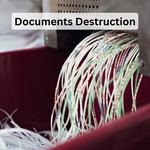 Black Ops Destruction - photo 1