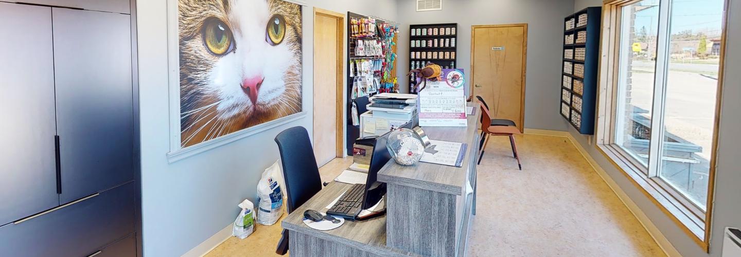 Clinique Vétérinaire Patricia Glass cover photo