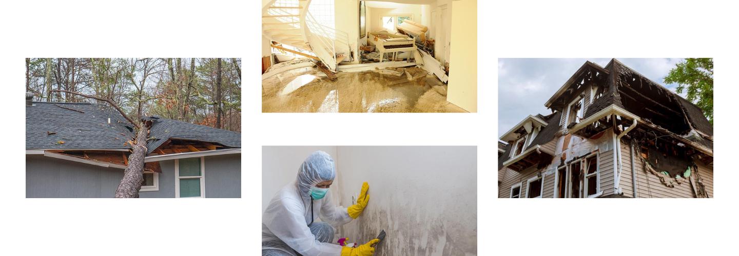 Alpha Omega Disaster Restoration cover photo