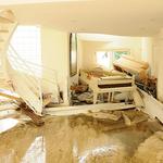 Alpha Omega Disaster Restoration - photo 5