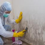 Alpha Omega Disaster Restoration - photo 6