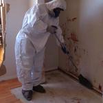 Alpha Omega Disaster Restoration - photo 7