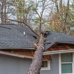 Alpha Omega Disaster Restoration - photo 8