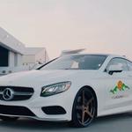 Designated Local Expert - photo 5