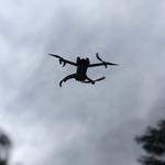 Thorough Check Building Inspections - photo 4