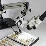 GT Vision Ltd - photo 2