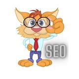 SEO NW - Alexander Müller - Marketing in Bertingen