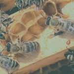 Land Based Training - photo 6