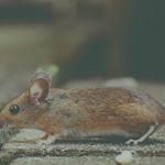 Land Based Training - photo 7