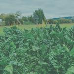 Land Based Training - photo 8