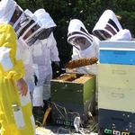 Land Based Training - photo 10